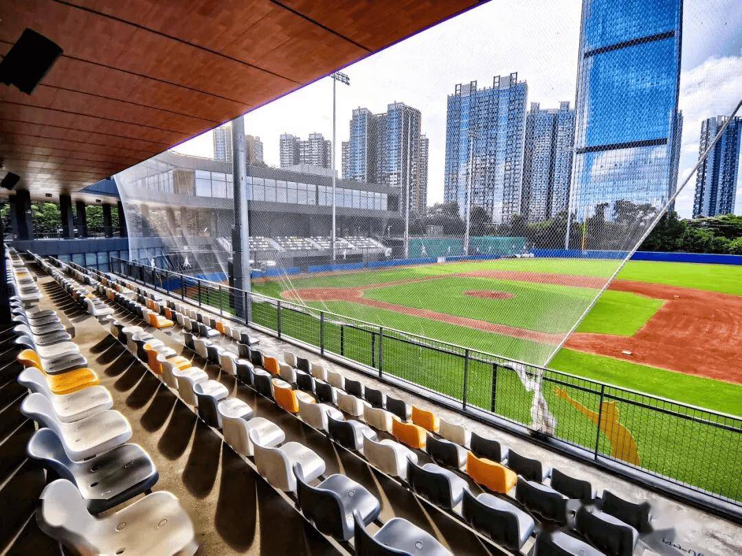 新联赛、新打法、新生态，CPB“上垒”中国棒球商业化新篇章